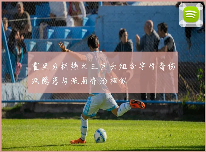 霍里分析热火三巨头组合字母哥伤病隐患与浓眉乔治相似