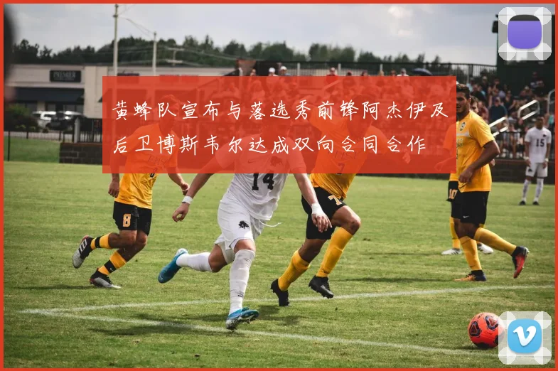 黄蜂队宣布与落选秀前锋阿杰伊及后卫博斯韦尔达成双向合同合作